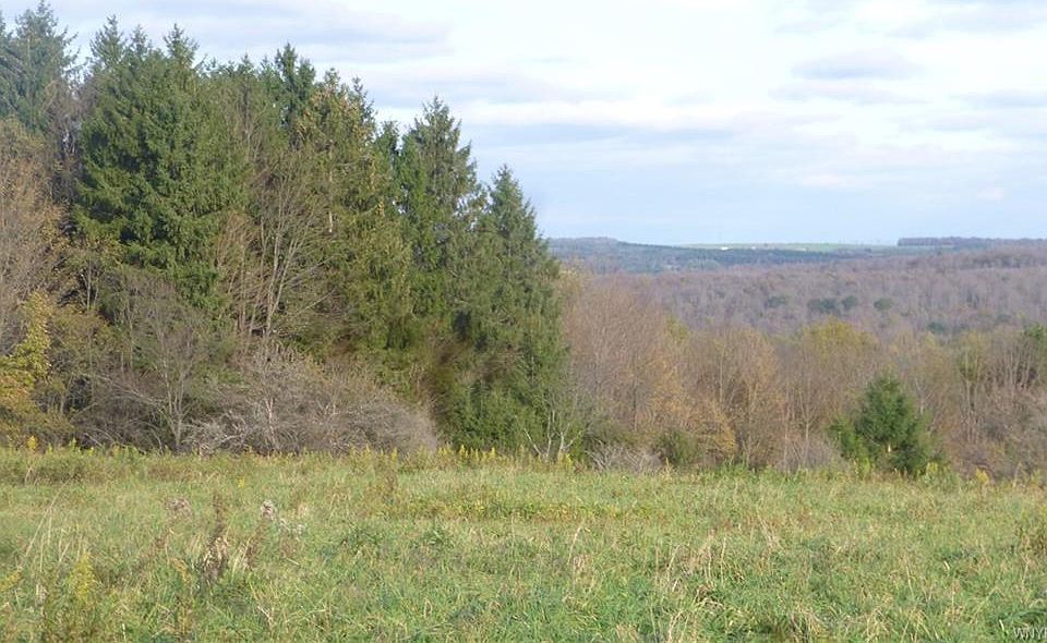 2nd image of E Hill Rd