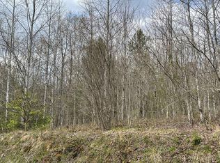 0 Laurel Branch Rd, Hayesville, NC 28904