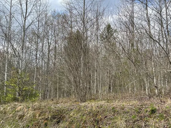 0 Laurel Branch Rd, Hayesville, NC 28904