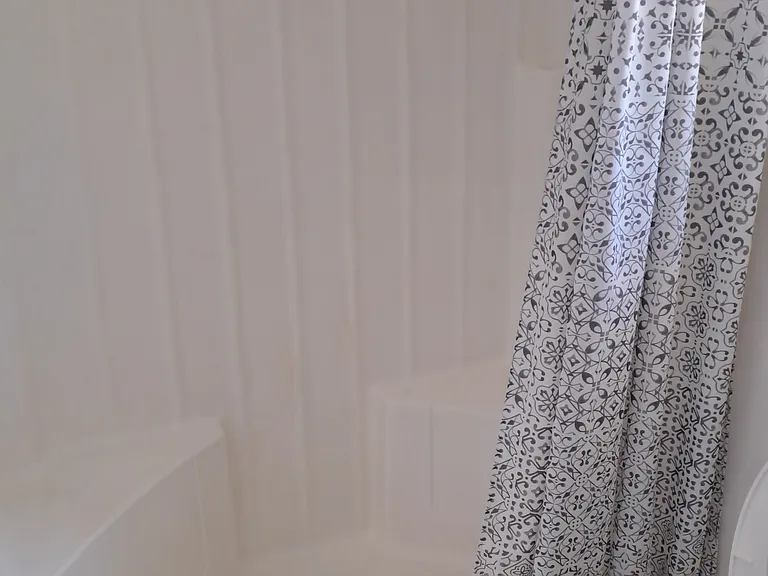 Downstairs walk in shower