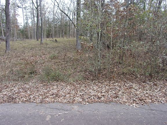 5th image of Dogwood Dr