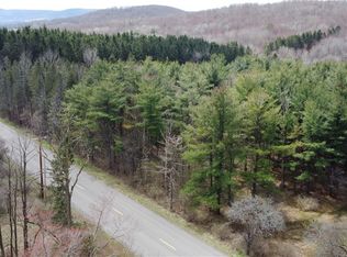 2067 Gee Hill Rd #35, Dryden, NY 13053