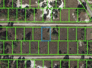 331 Sunflower Ave, Lake Placid, FL 33852