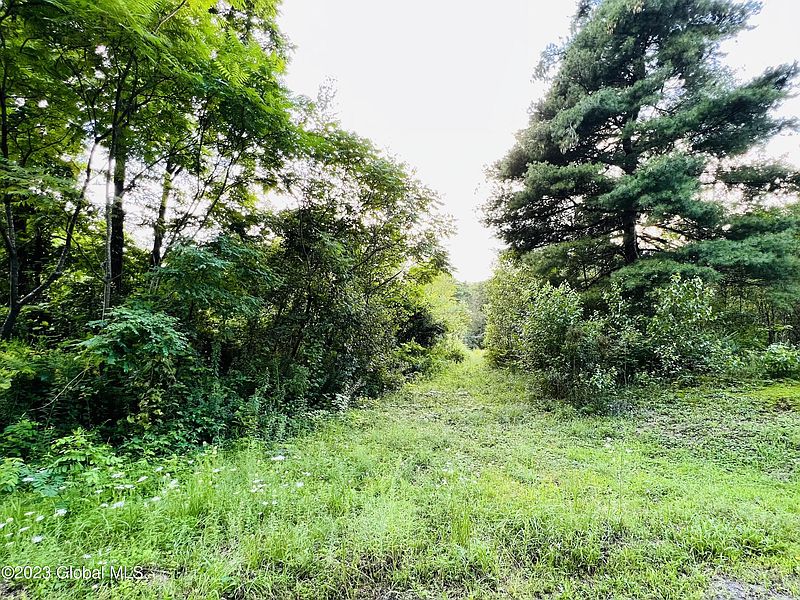 5th image of 0 Black Creek Road