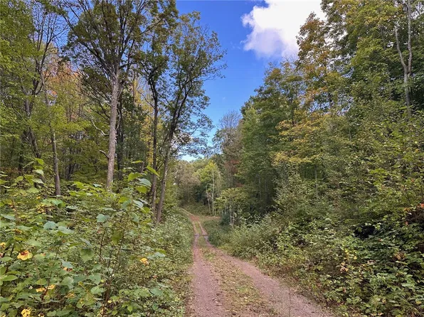 0 County Forest Road, Stone Lake, WI 54876
