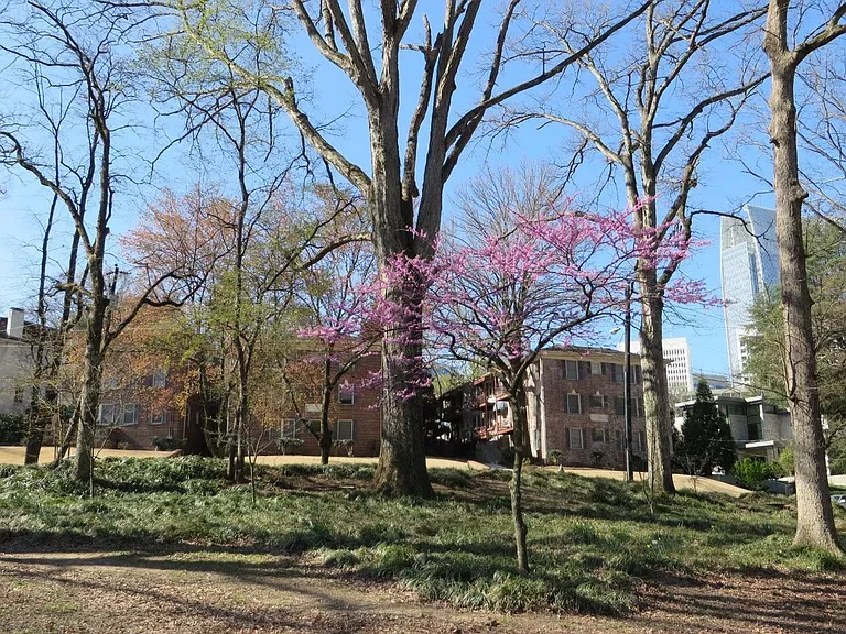 67 Lafayette Dr NE #2 — Photo 4