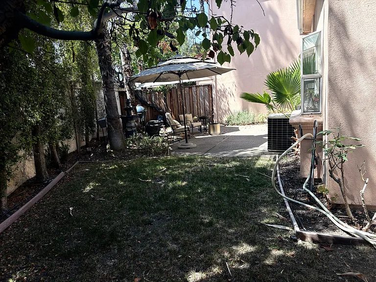 Backyard in Fall