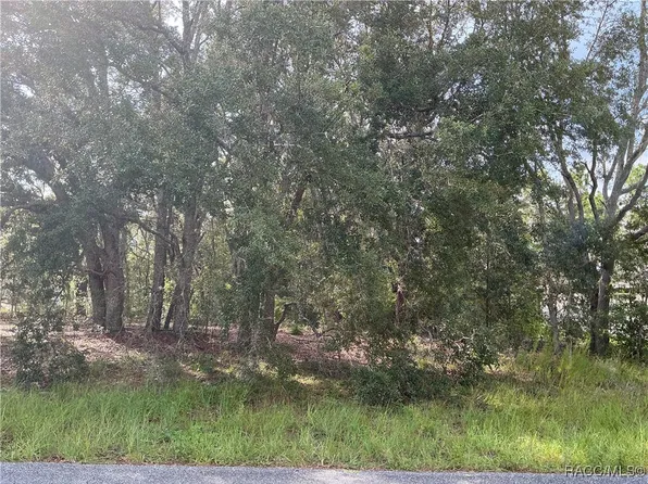 8402 N Bolder Dr, Citrus Springs, FL 34434