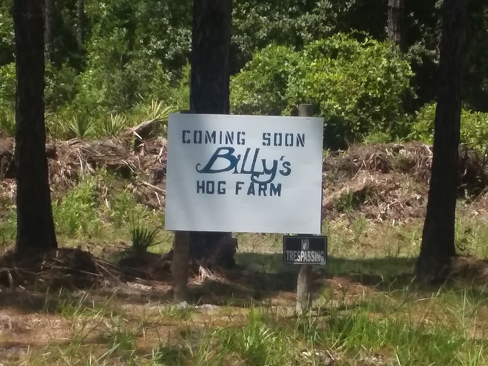 HOG FARM
