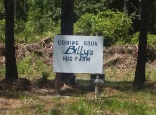 130 3rd Ave, Palatka, FL 32177