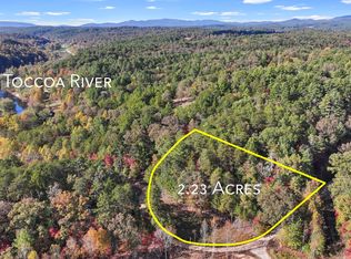 2.23 Bear Walk Rd, Mineral Bluff, GA 30559