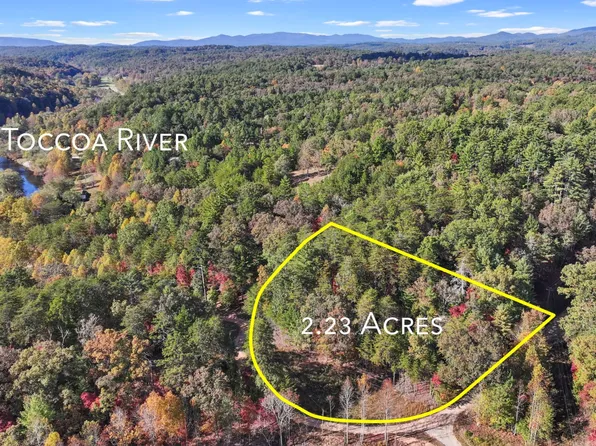2.23 Bear Walk Rd, Mineral Bluff, GA 30559