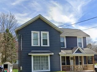 56 Mill St, Springville, NY 14141