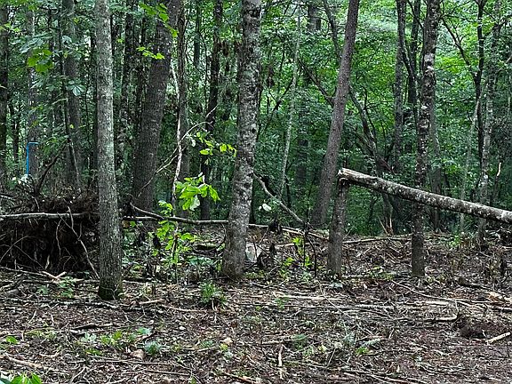 2nd image of 1359 Brown Creek Dr
