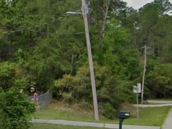 4th image of 308 Kingston Blvd