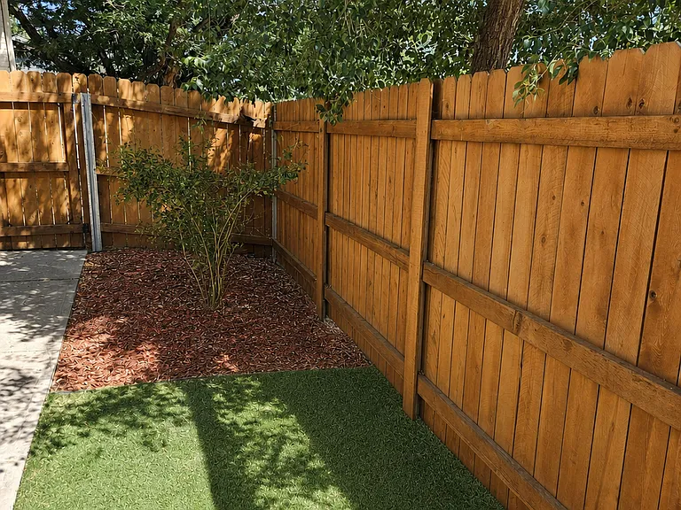 Yard