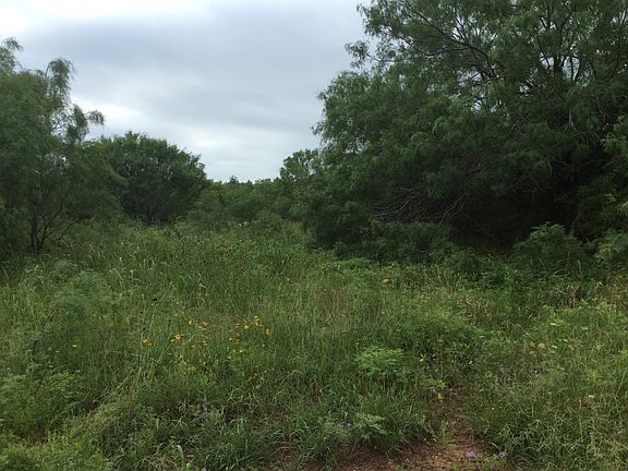 4th image of 12248 E Loop 1604 S