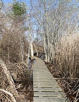 5th image of 87 E Hidden Bay Dr