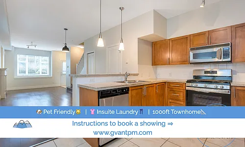 4458 Albert St #204 Photo 1