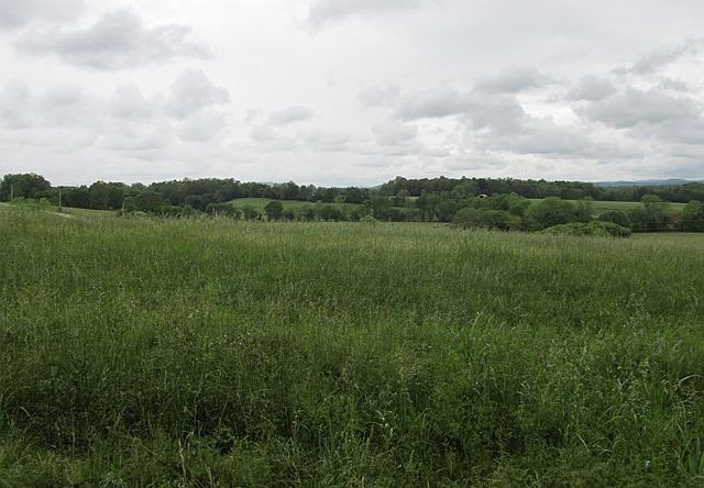 1st image of 710 Blue Water Dr Lot 24