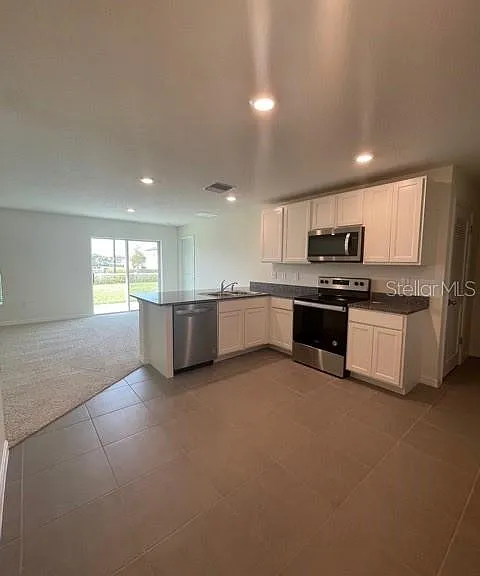 10231 Opaline Sky Ct — Photo 3