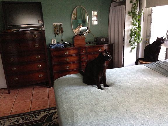 Bed room