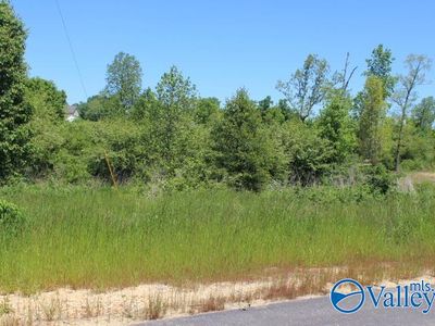 10 Dogwood Ln, Rainsville, AL, 35986