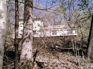 121 Fiddlers Branch Rd, Hampton, TN 37658