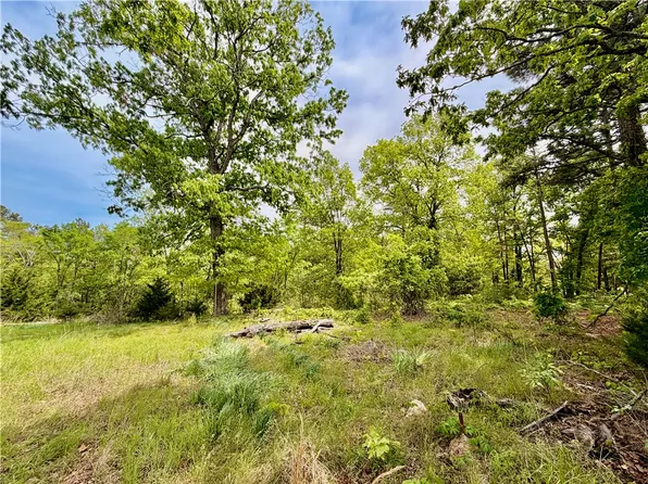 52 County Road 117, Eureka Springs, AR 72631