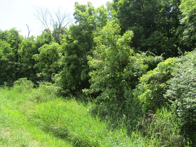 4574 Township Road 273, Bellefontaine, OH, 43311