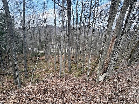 4th image of Lot 8 Barrows Towne Road