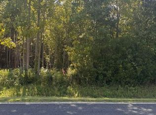 LOT 4 Great Swamp Rd, Ernul, NC 28527