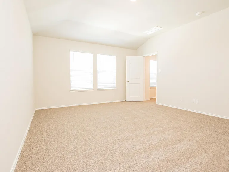 4811 Vogesite Path — Photo 19