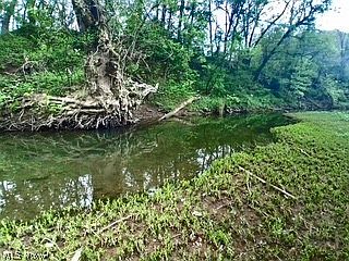 5th image of 5170 State Route 821