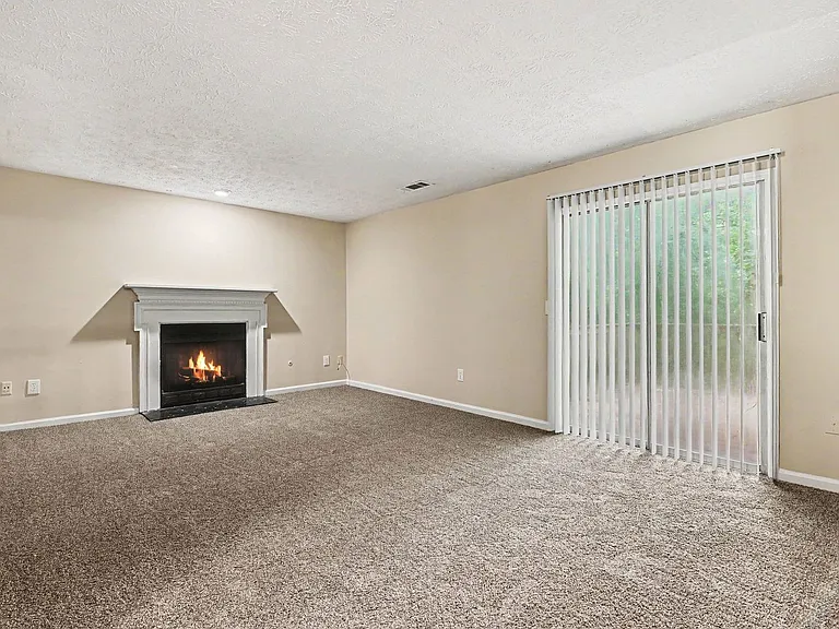 3892 Conley Downs Ln — Photo 8