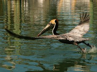 706 Flamingo Ct, Murrells Inlet, SC 29576