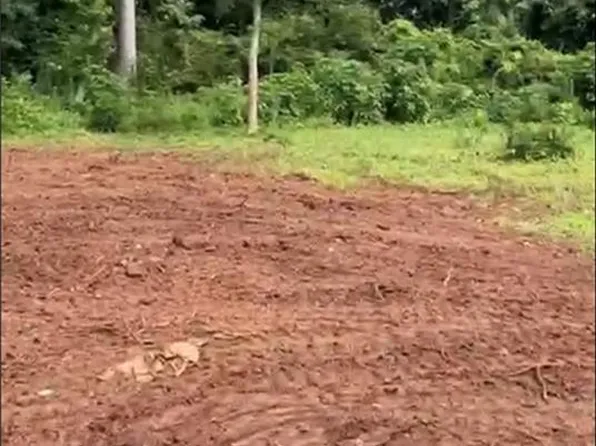 2047 Moody Dr SW, Atlanta, GA 30315