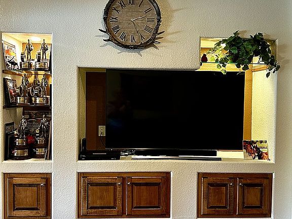 TV in Living Room