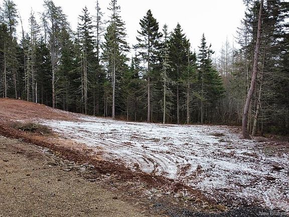 5th image of 181 Ogden Mill Rd