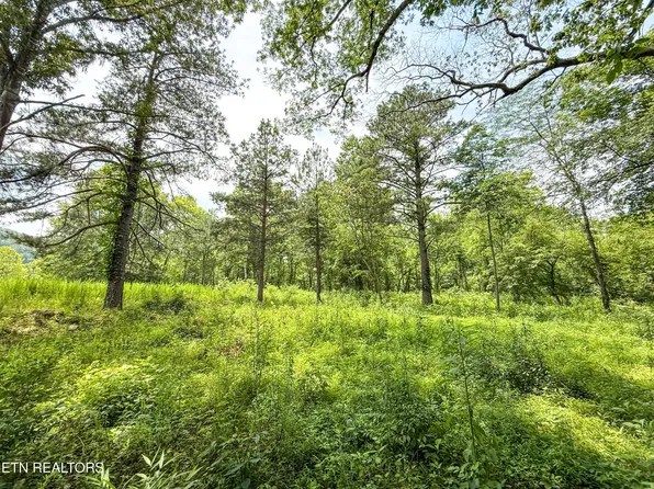LOT 38th Rdg #39, Oak Ridge, TN 37830