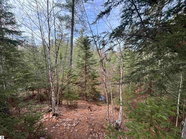 V/l #280A-H-40, Rudyard, MI 49780