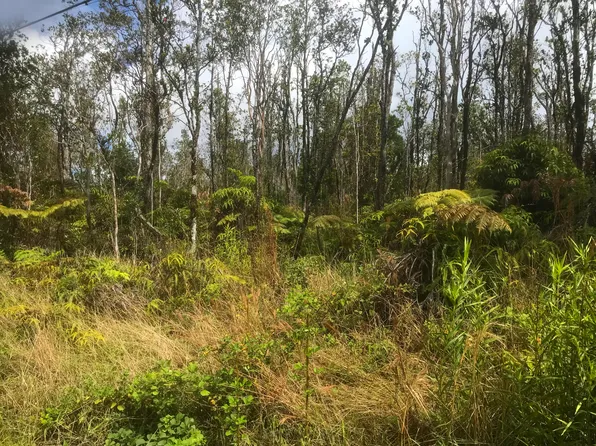 Kaleponi Rd Lot 32, Volcano, HI 96785