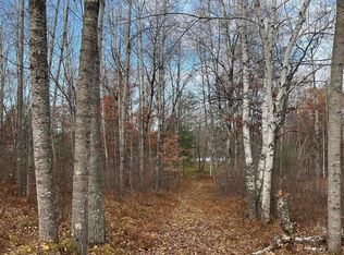 Lots 41 & 42 Frog Lake Rd, Florence, WI 54121