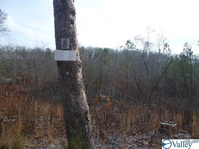 2nd image of 8 County Road 88