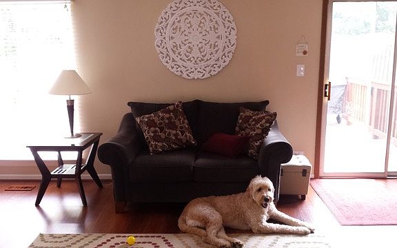 4th image of 1895 Appaloosa Dr