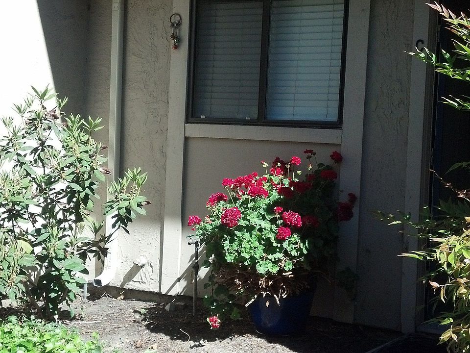2nd image of 2150 Northwood Cir Unit C