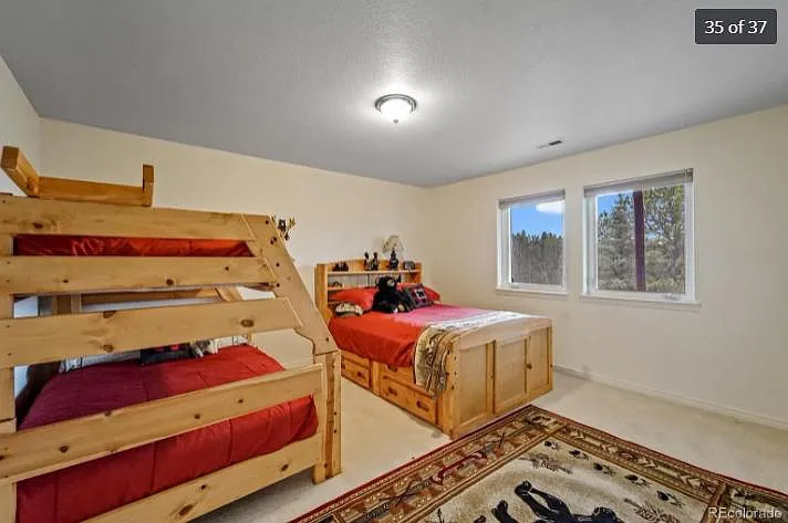 Downstairs Bedroom