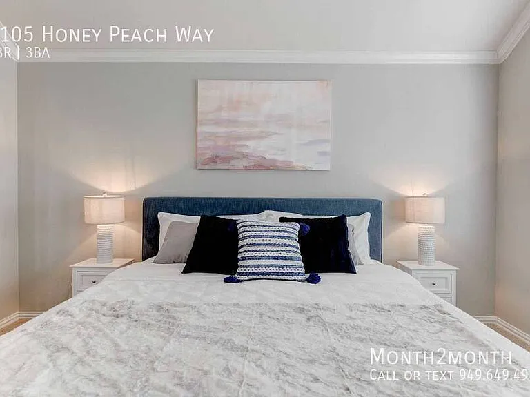 3105 Honey Peach Way — Photo 15