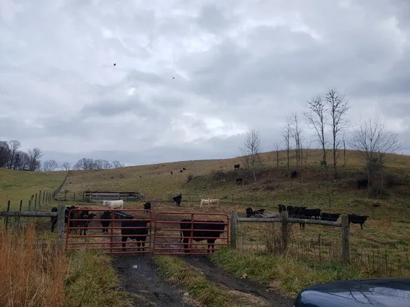LOT 20 Buffalo Pond Rd, Bristol, VA 24202