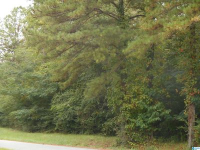 Industrial Pkwy W #0, Columbiana, AL, 35051